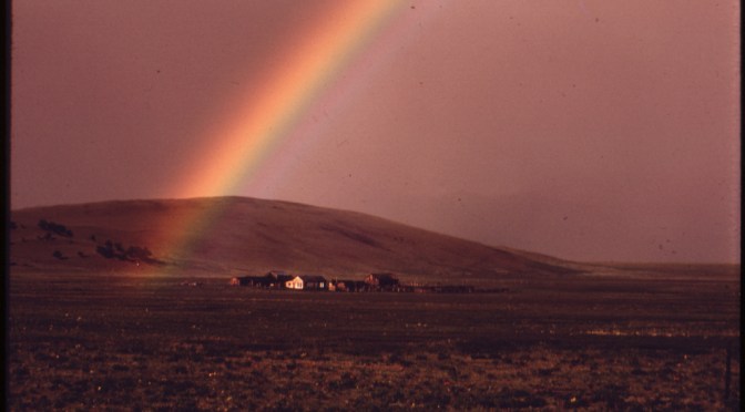 Treenisuunnitelma viikoksi